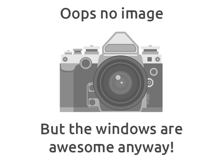 DARRIAN - T9/ T90 - Lexan Polycarbonate left front door window